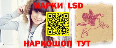 стафф Пенза